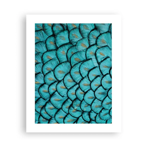 Plakat - Den store fjer-galla - 40x50 cm