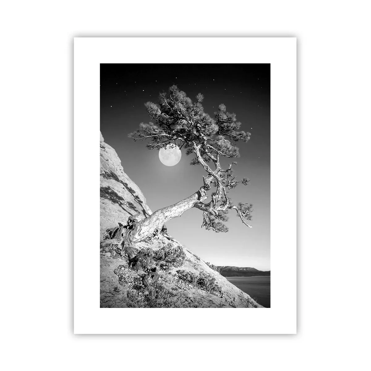 Plakat - Den sejrrige kriger - 30x40 cm