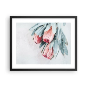 Plakat i sort ramme - Skammer sig over deres egen skønhed - 50x40 cm