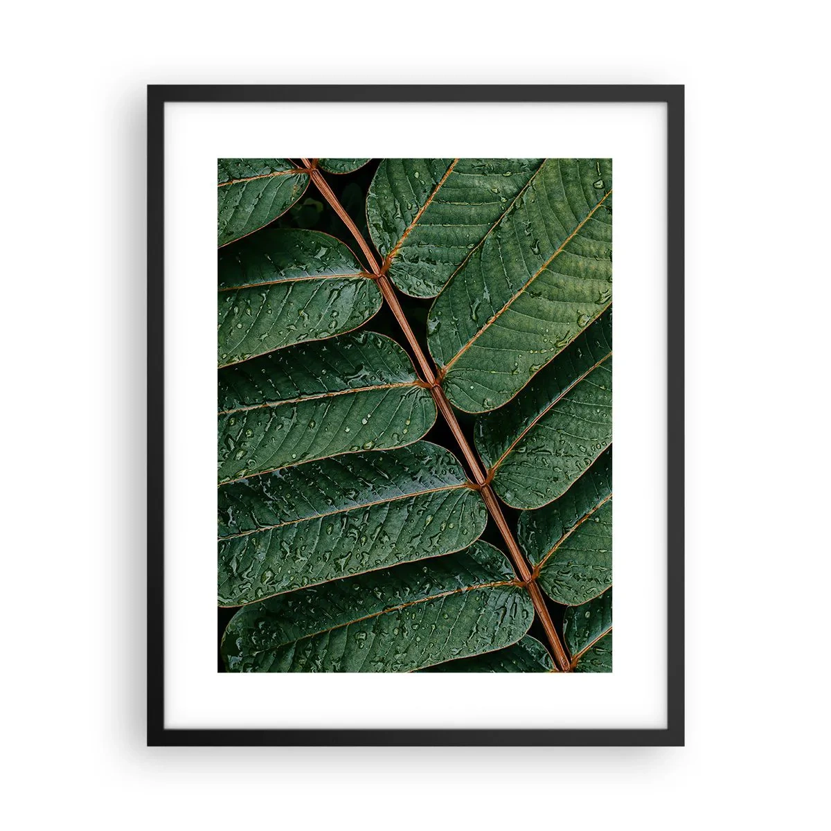 Plakat i sort ramme - I en grøn rytme - 40x50 cm