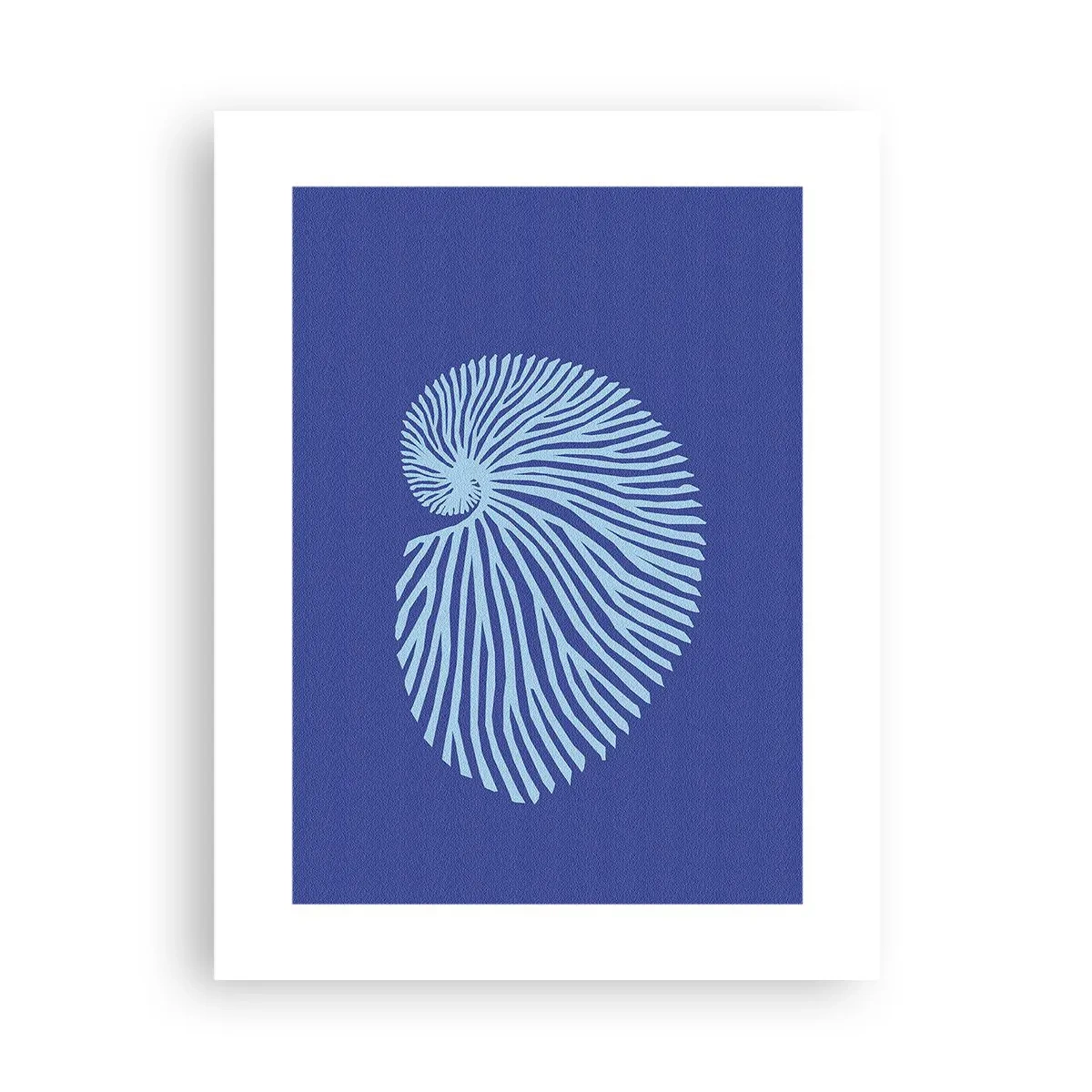 Plakat - Fødsel af en skal - 30x40 cm