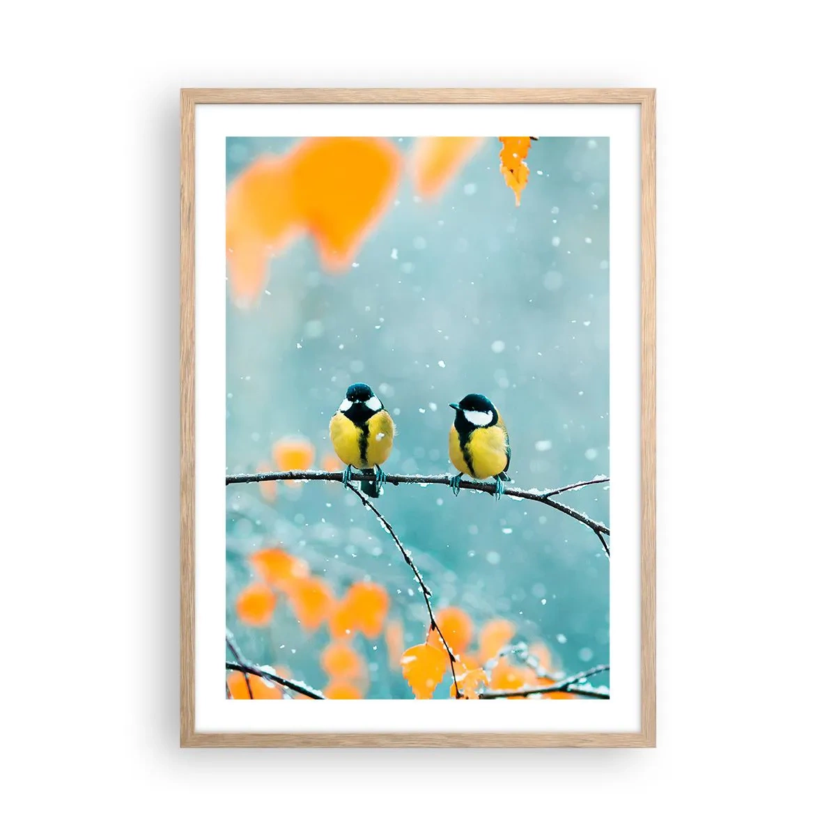 Plakat i ramme af lyst egetræ - Sladder om fugle - 50x70 cm