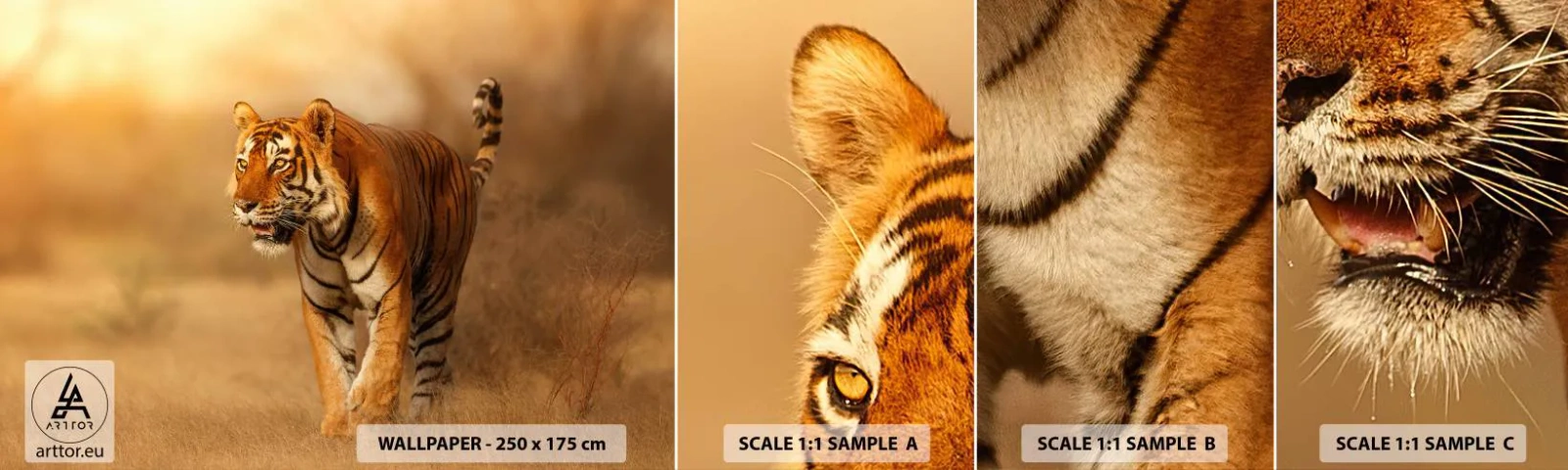 Prøve Fototapet Selvklæbende Deluxe Sticker - Før angrebet - Dyr, Tiger, Afrika - 100x30 cm