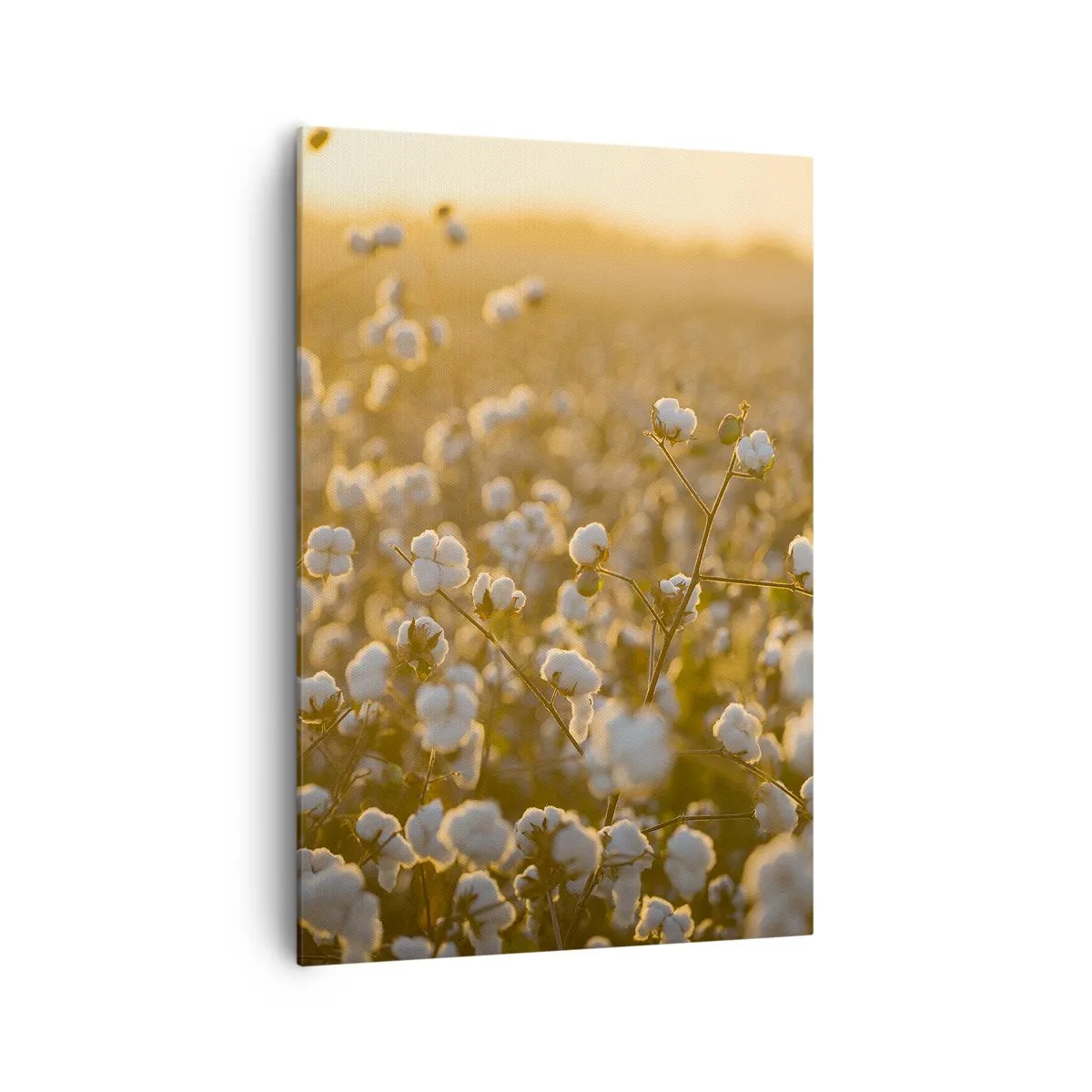Lærredstryk - Billede på lærred - Et luftigt felt - 70x100 cm