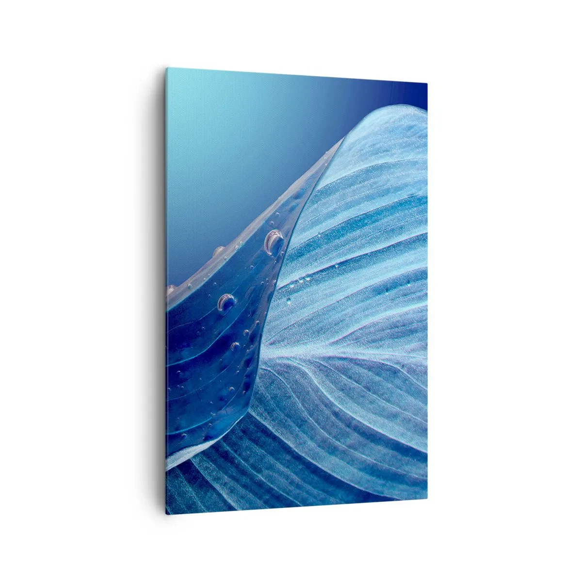 Lærredstryk - Billede på lærred - Skjulte dråber af blåt - 80x120 cm