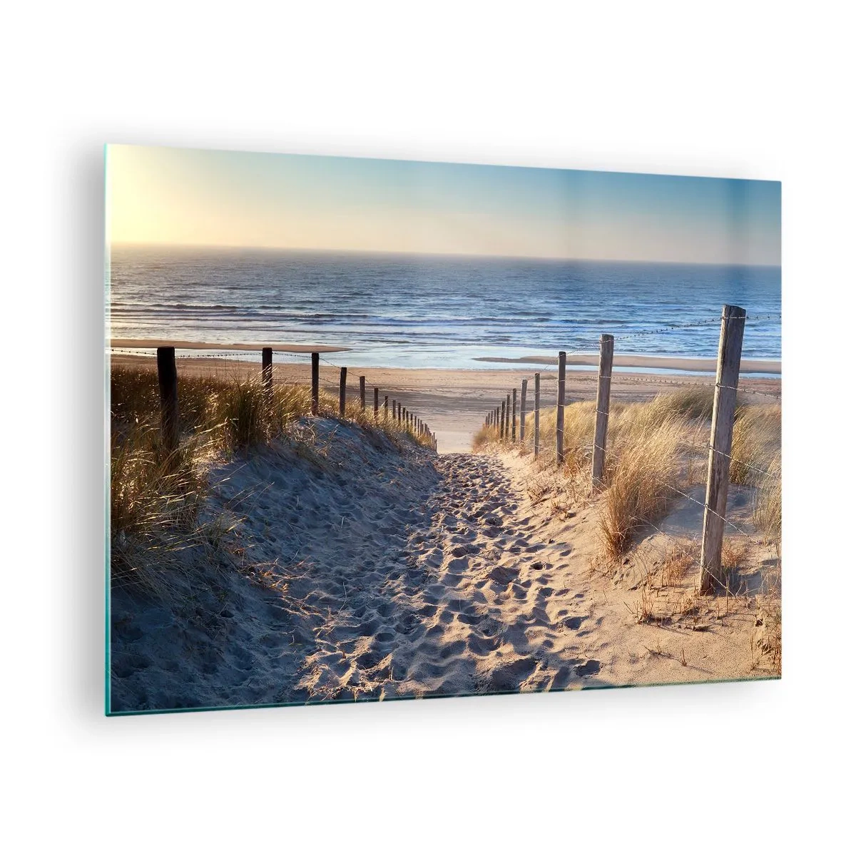Billede på glas - En sti gennem klitterne, der fører til en strand med et roligt hav - 70x50cm - Havet brummer, fuglene synger, en vild strand midt i græsset.... - Moderne vægdekoration til stue og soveværelse ARTTOR