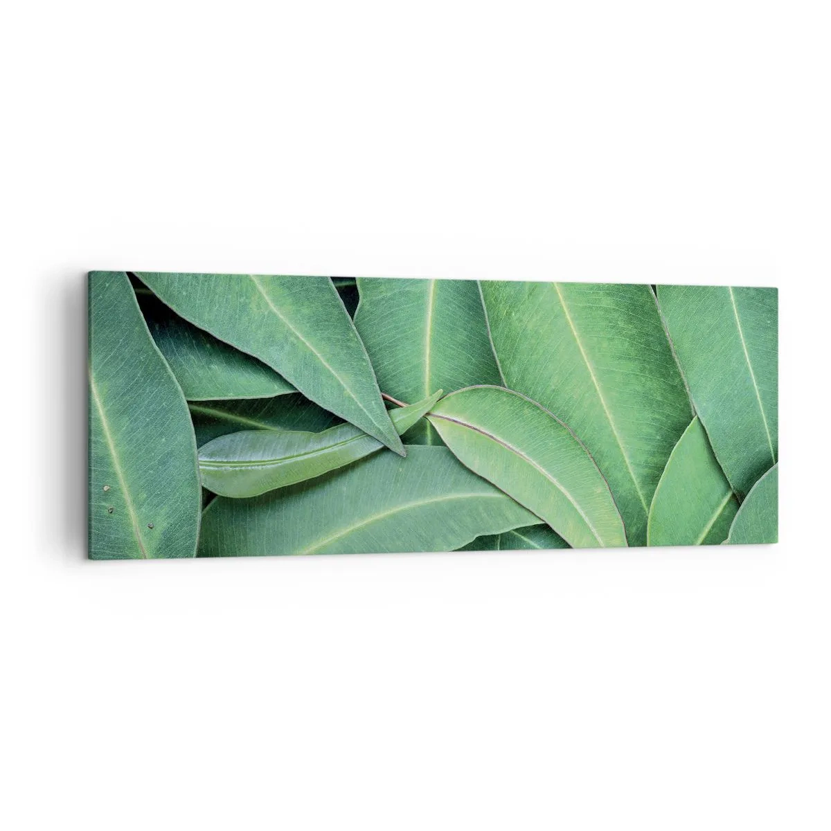 Lærredstryk - Billede på lærred - Saftig og frisk - 140x50 cm