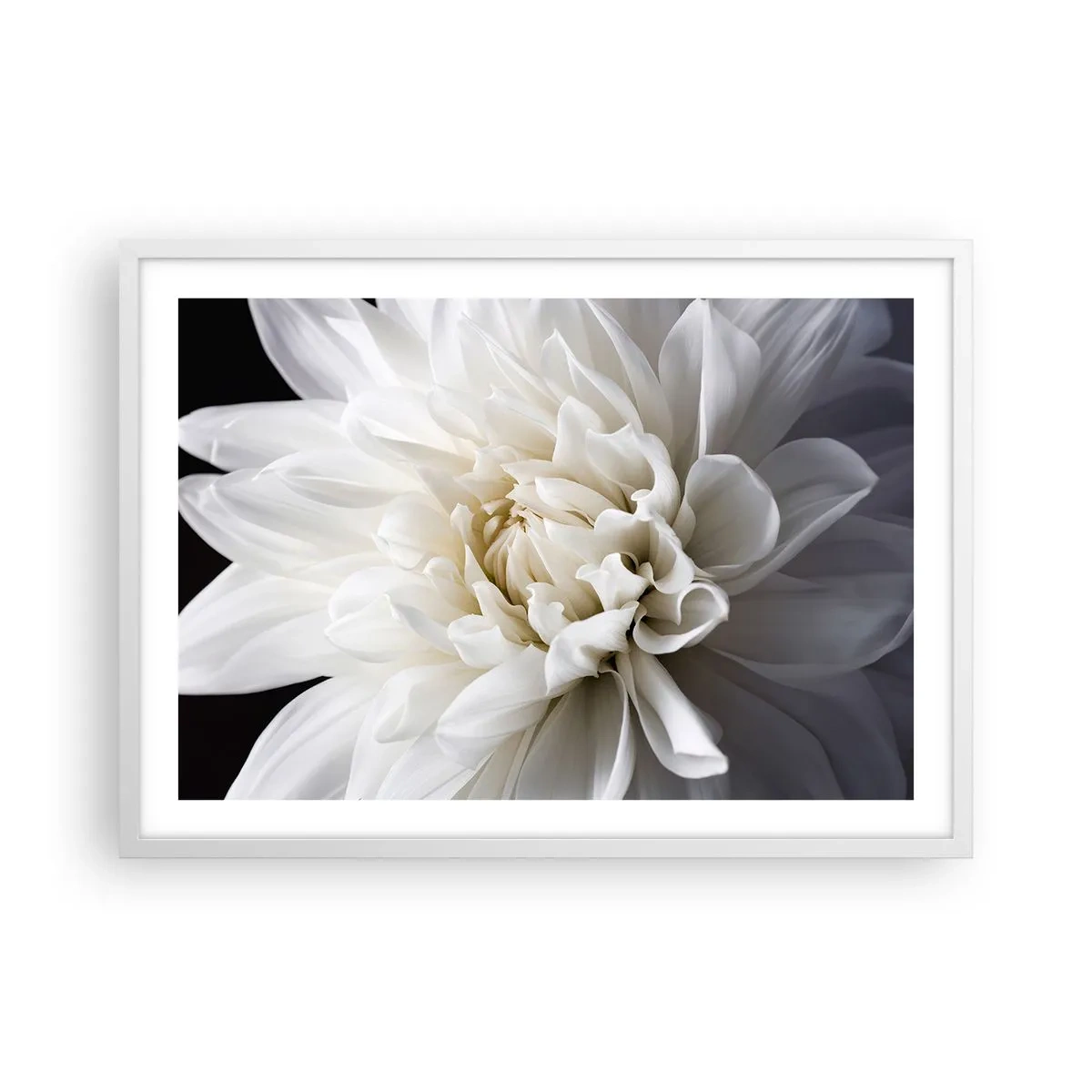 Plakat i hvid ramme - Morgenbrud - 70x50 cm