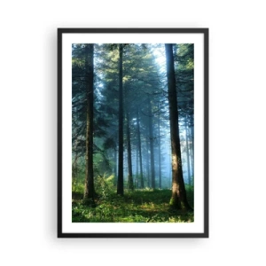 Plakat i sort ramme - Nåleskov i morgensol og let tåge - 50x70cm - Strålende om morgenen - Moderne vægdekoration til stue og soveværelse ARTTOR