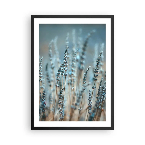Plakat i sort ramme - Delikate lavendelblomster på en pastelfarvet baggrund - 50x70cm - Duftende plet - Moderne vægdekoration til stue og soveværelse ARTTOR