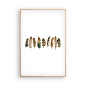 Plakat i ramme af lyst egetræ - Variation med fjer - 61x91 cm