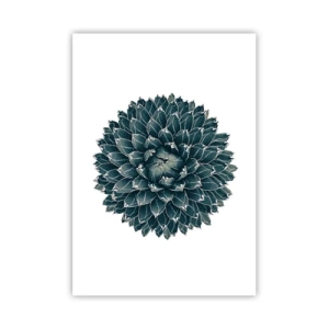 Plakat - Ørkenstjerne - 70x100 cm