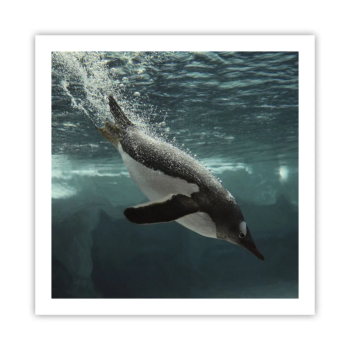 Plakat - Velkommen til min verden - 60x60 cm