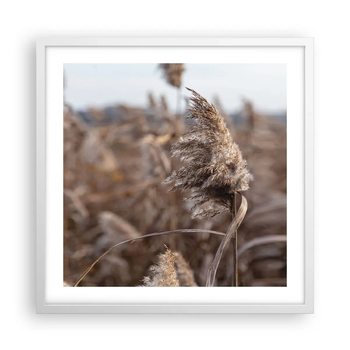 Plakat i hvid ramme - Tid til at flyve væk med vinden - 50x50 cm