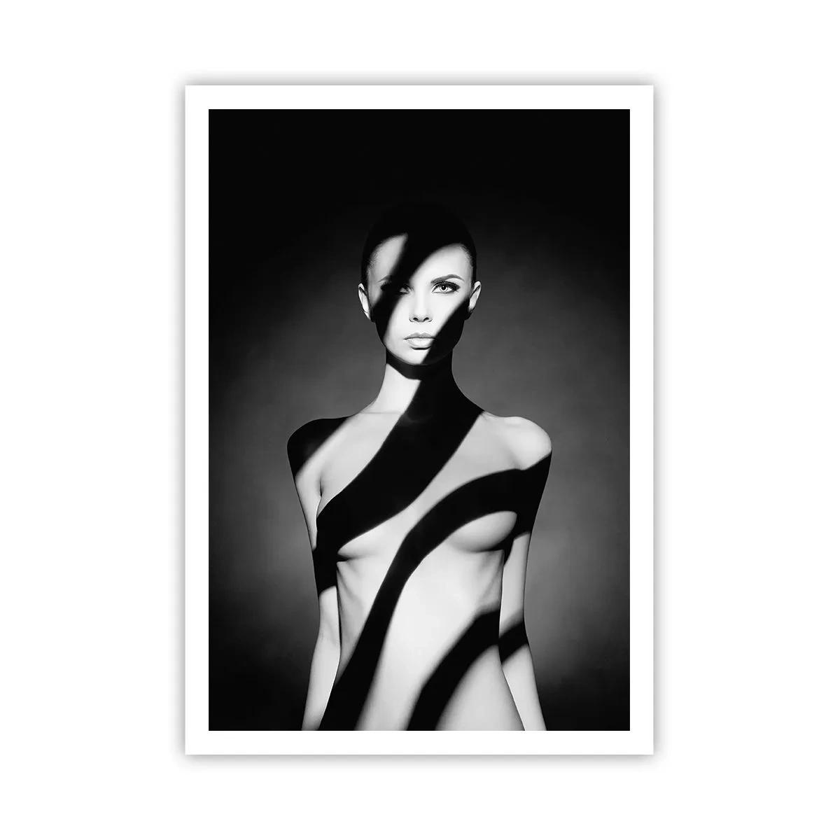 Plakat - I blænding og skygge - 70x100 cm