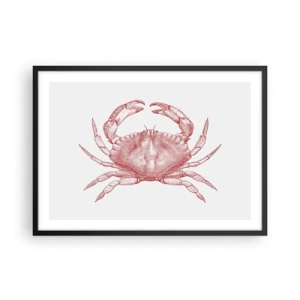 Plakat i sort ramme - Krabbe over krabber - 70x50 cm