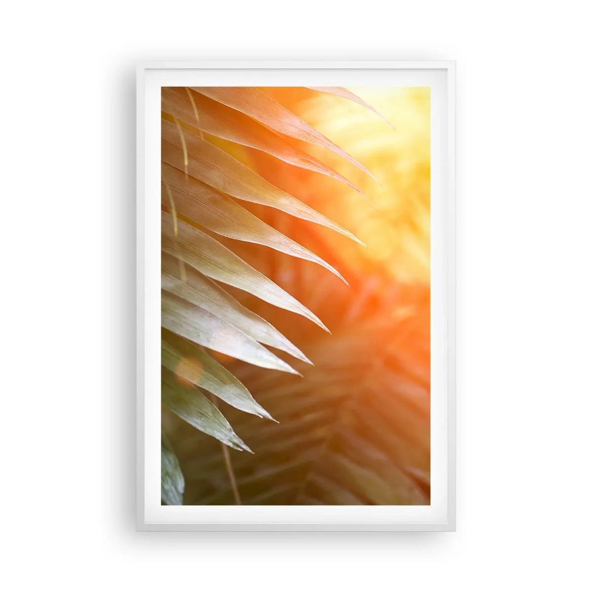 Plakat i hvid ramme - Morgen i junglen - 61x91 cm