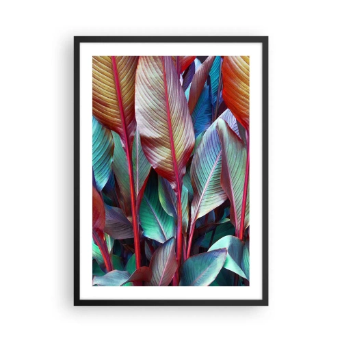 Plakat i sort ramme - Farverige blade af en tropisk plante i mættede farver - 50x70cm - Farverigt krat - Moderne vægdekoration til stue og soveværelse ARTTOR