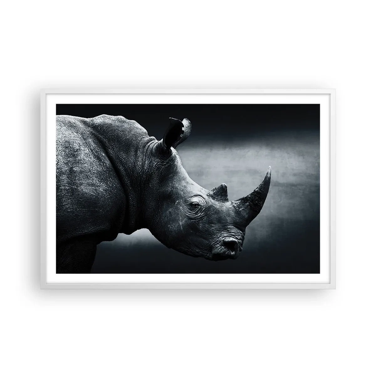 Plakat i hvid ramme - Højre profil - 91x61 cm