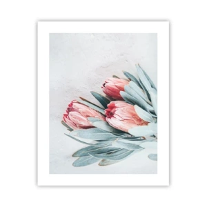 Plakat - Skammer sig over deres egen skønhed - 40x50 cm