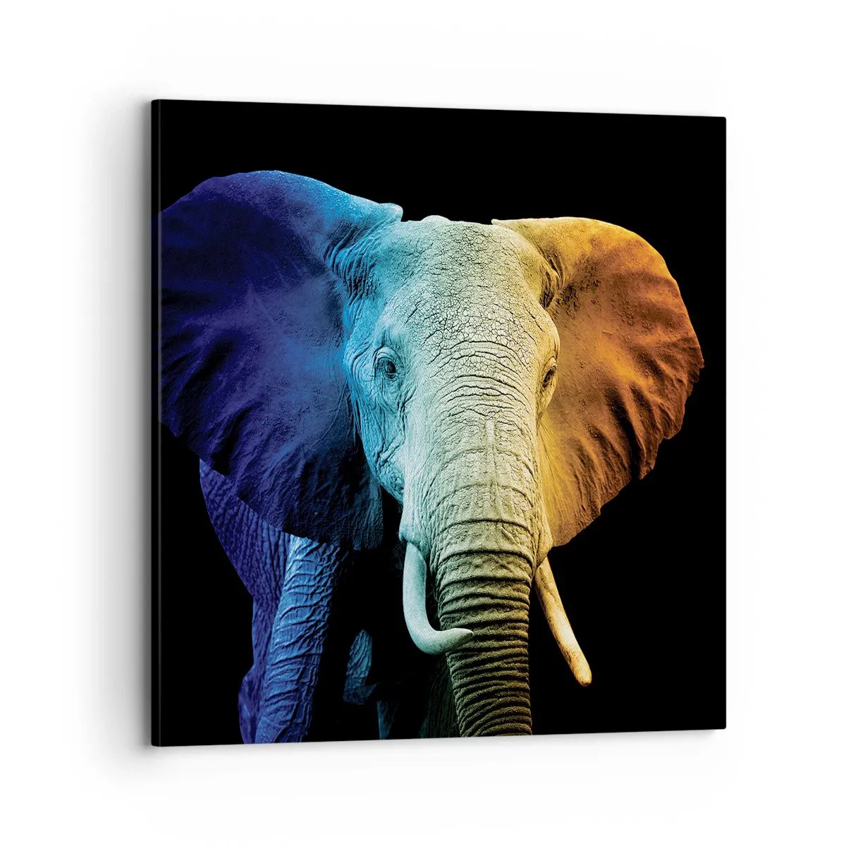 Lærredstryk - Billede på lærred - Excentrisk, ikke underlig - 70x70 cm