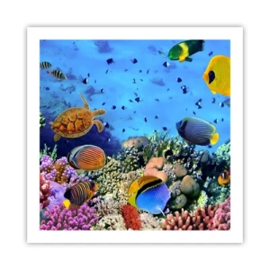 Plakat - Og hvad ved vi om livet... - 60x60 cm