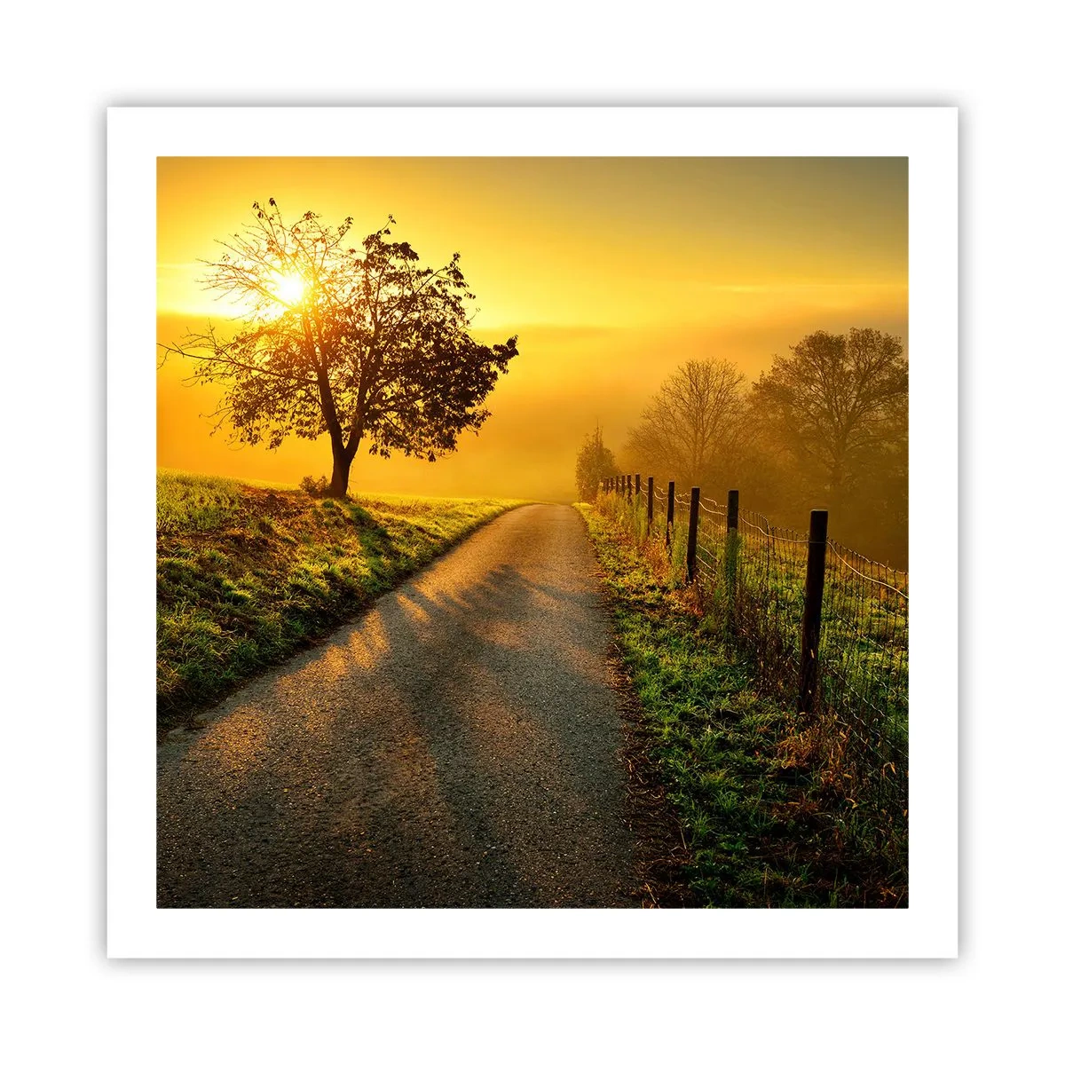 Plakat - Kære eftermiddag - 60x60 cm