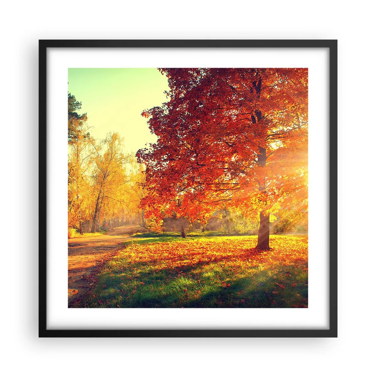 Plakat i sort ramme - Rød er smuk - 50x50 cm