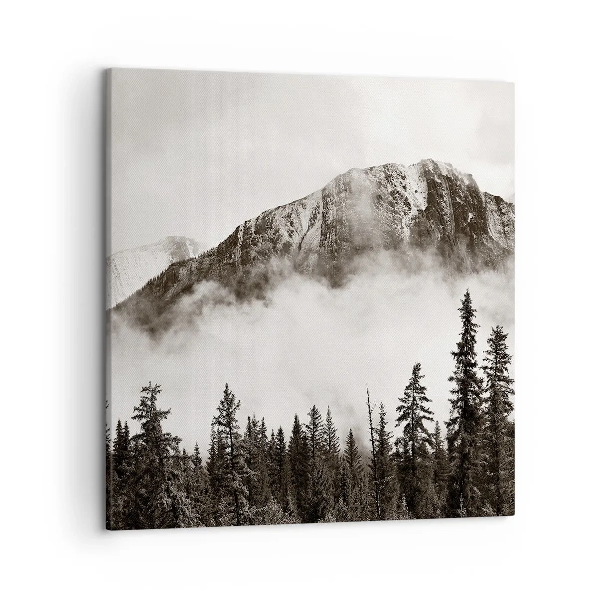 Lærredstryk - Billede på lærred - Granit hersker - 50x50 cm