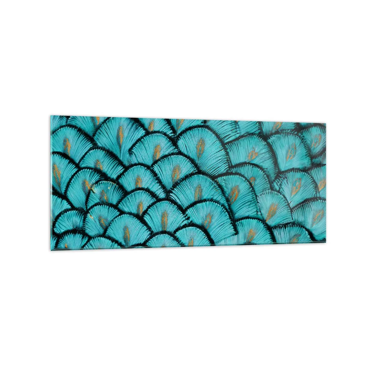 Billede på glas - Den store fjer-galla - 120x50 cm