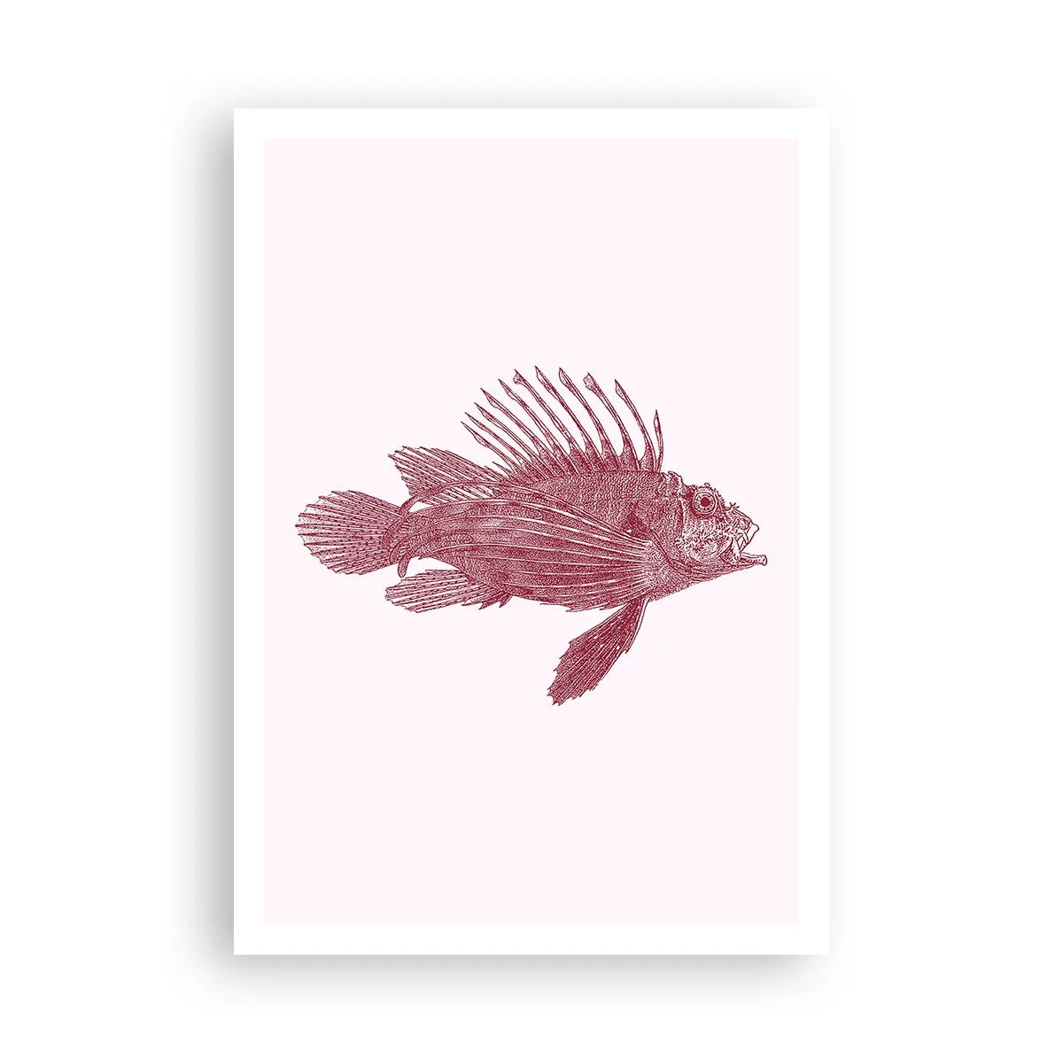 Plakat - En beboer i eksotiske farvande - 70x100 cm