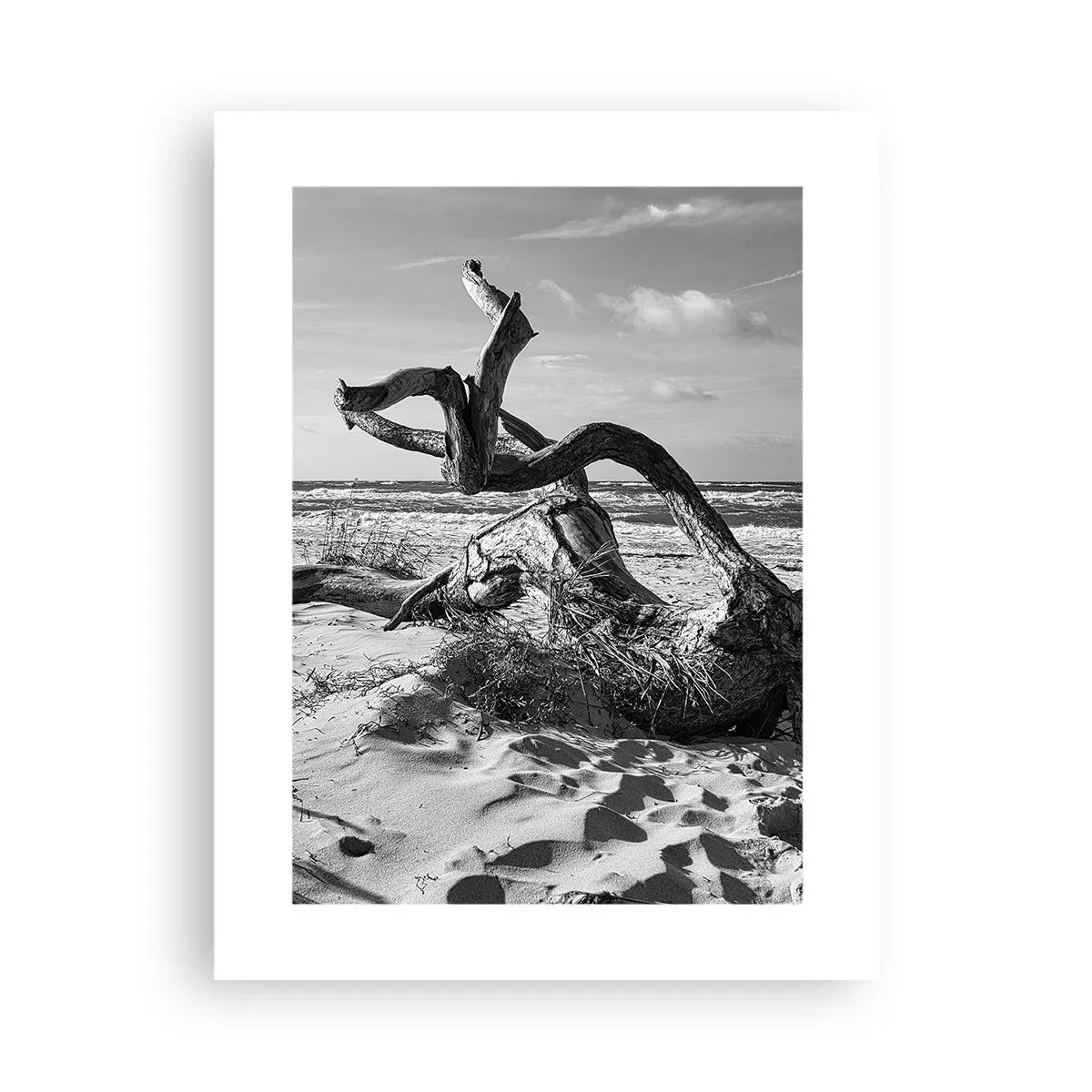 Plakat - Havets skulptur - 30x40 cm