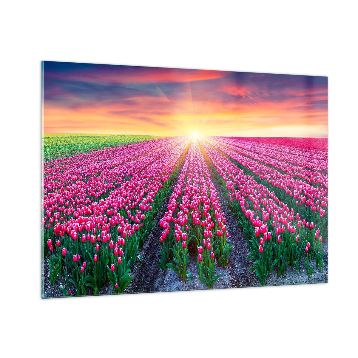 Billede på glas - Skønhedsfarm - 100x70 cm