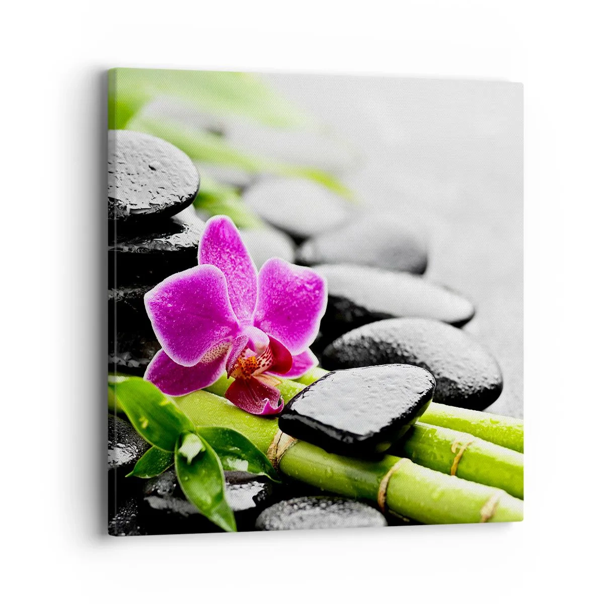 Lærredstryk - Billede på lærred - I en fredelig balance - 40x40 cm