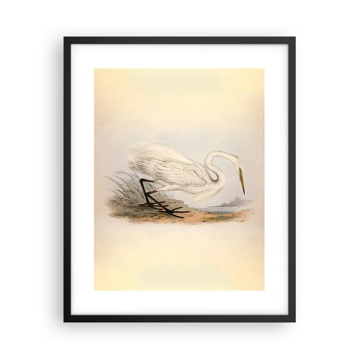 Plakat i sort ramme - Dame på sivene - 40x50 cm