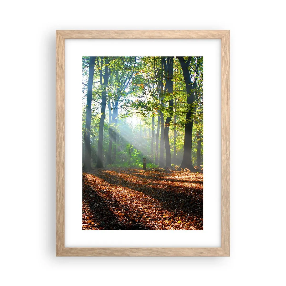 Plakat i ramme af lyst egetræ - Lys og skygger - 30x40 cm