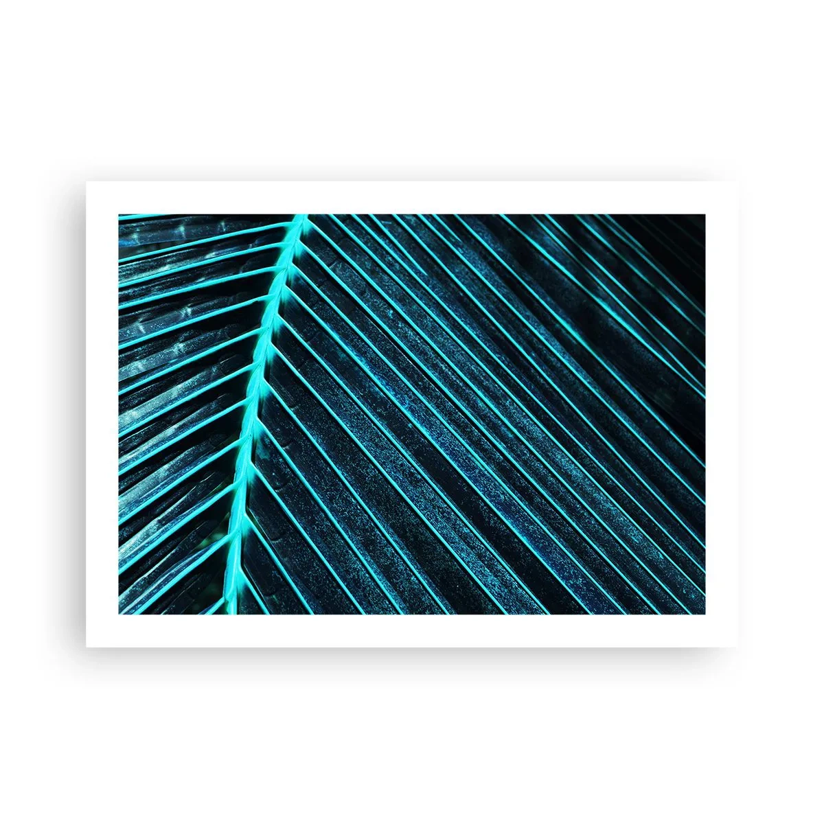 Plakat - Tekstur af grønt - 70x50 cm