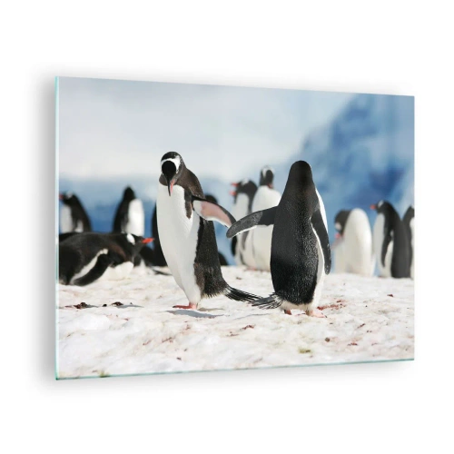 Billede på glas - Pingviner i sneen i et polarlandskab - 70x50cm - Danser i sneen - Moderne vægdekoration til stue og soveværelse ARTTOR