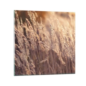 Billede på glas - Klar til at byde efteråret velkommen - 70x70 cm