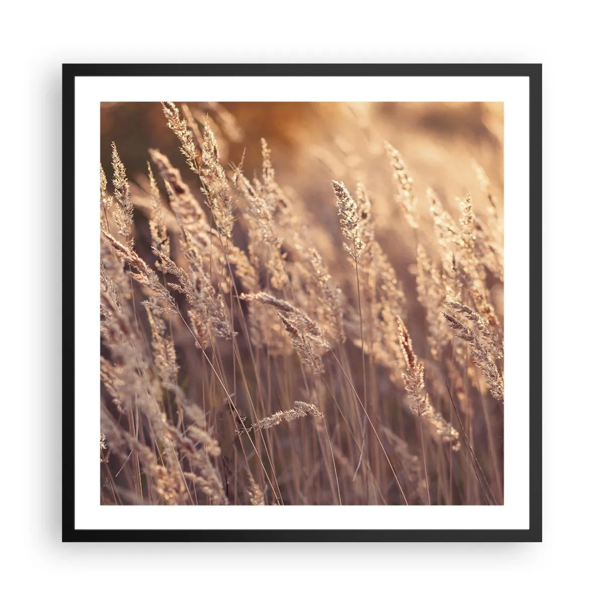 Plakat i sort ramme - Klar til at byde efteråret velkommen - 60x60 cm