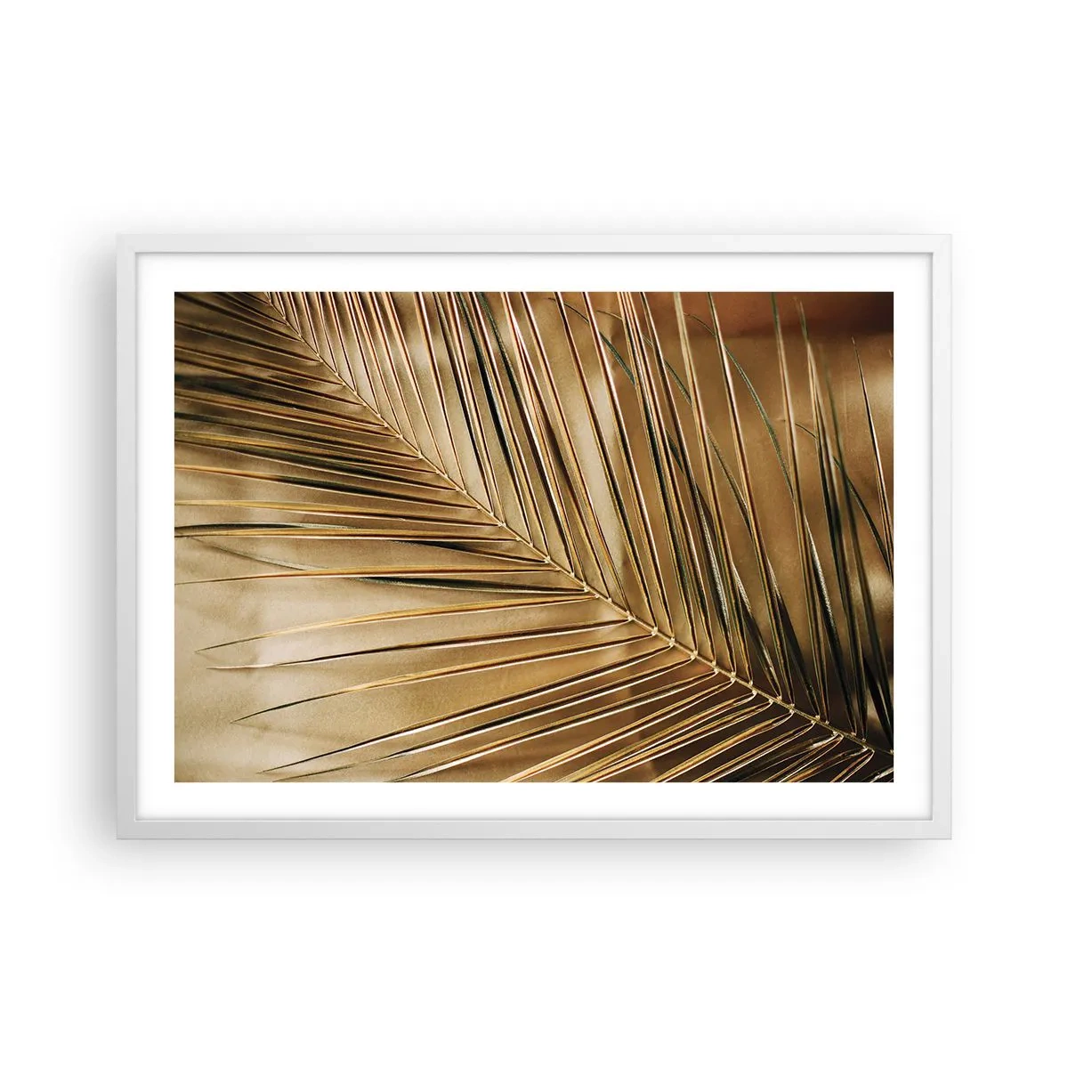 Plakat i hvid ramme - Naturlig kolonnade - 70x50 cm