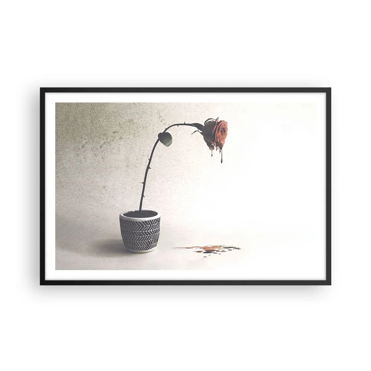 Plakat i sort ramme - Rosa dolorosa - 91x61 cm