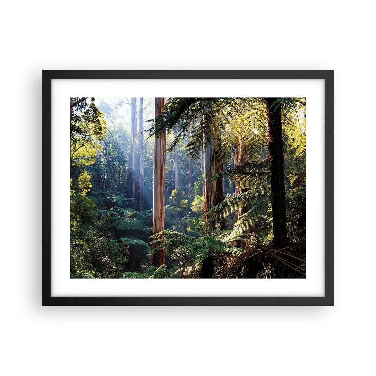 Plakat i sort ramme - En fortælling om skoven - 50x40 cm
