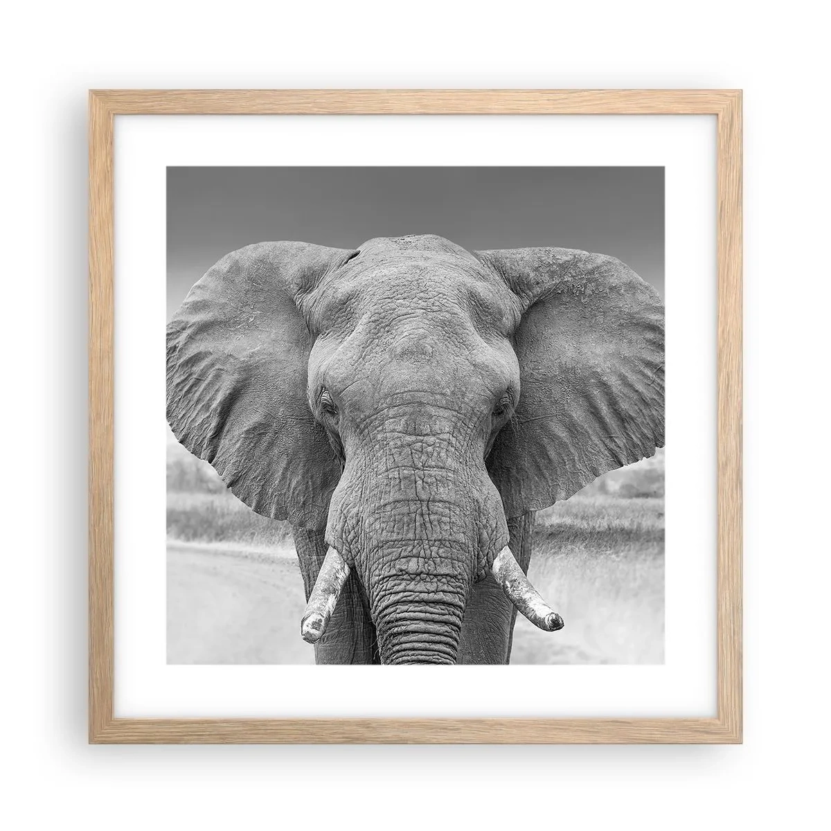 Plakat i ramme af lyst egetræ - Velkommen til min verden - 40x40 cm