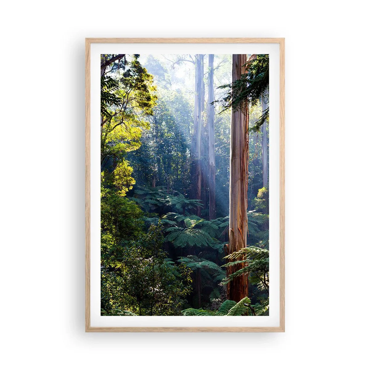 Plakat i ramme af lyst egetræ - En fortælling om skoven - 61x91 cm