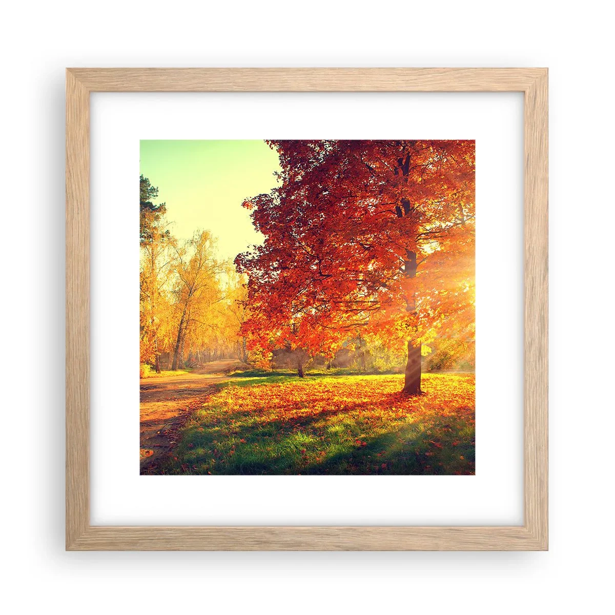 Plakat i ramme af lyst egetræ - Rød er smuk - 30x30 cm