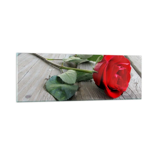 Billede på glas - Studie i skarlagenrødt - 90x30 cm