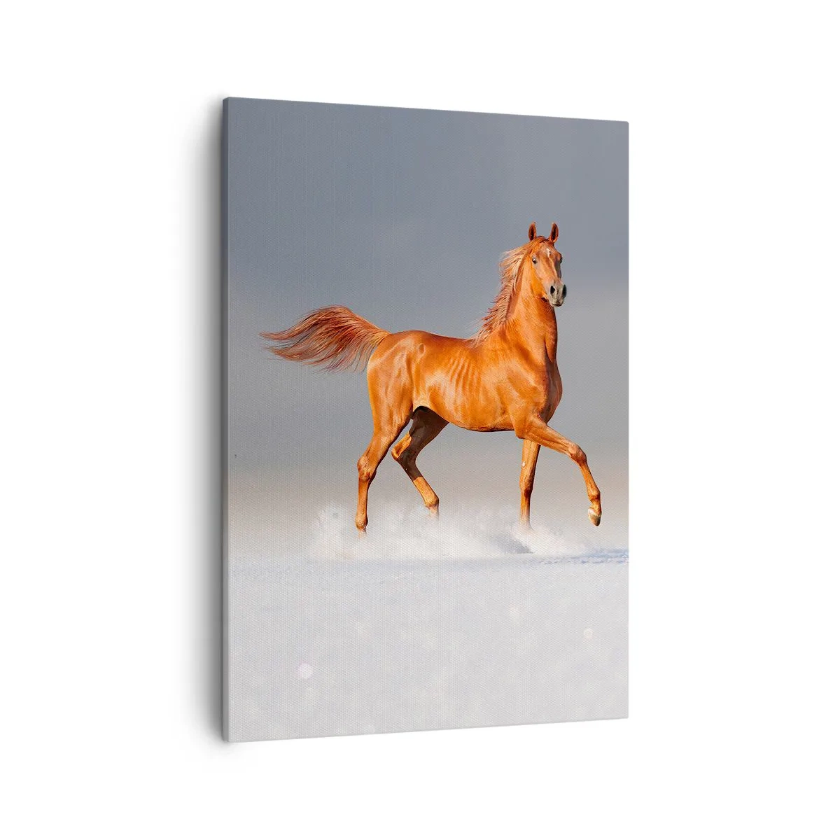 Lærredstryk - Billede på lærred - Dansende ynde - 50x70 cm