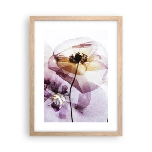 Plakat i ramme af lyst egetræ - Blomsterlegeme dias - 30x40 cm