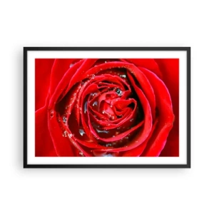 Plakat i sort ramme - I dråber af dug - 70x50 cm